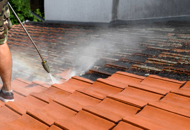 Best Commercial Pressure Washing  in Oak Grove, LA