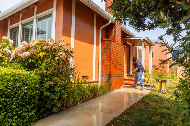 Best Roof Pressure Washing  in Oak Grove, LA