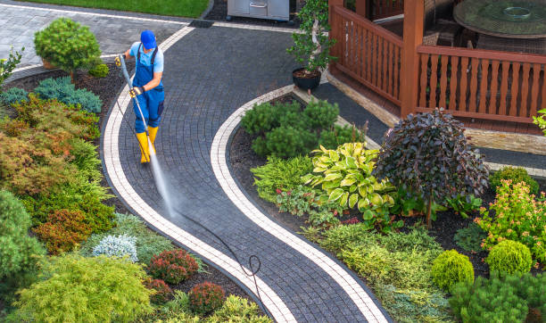 Best Local Pressure Washing Services  in Oak Grove, LA