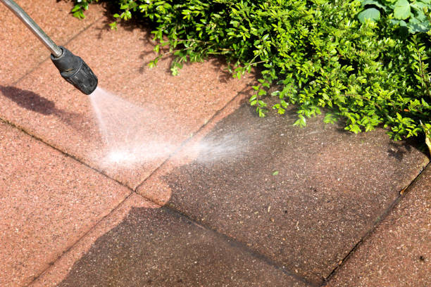 Local Pressure Washing Services in Oak Grove, LA